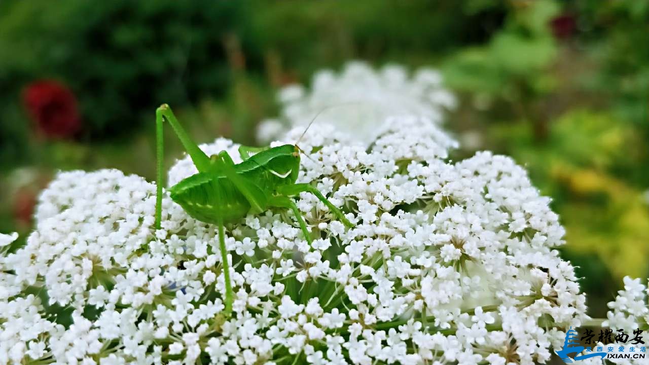 20190615_518588_1560561891525.jpg