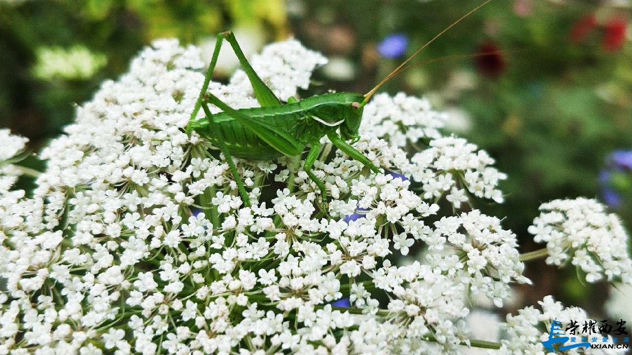 20190615_518588_1560561892192.jpg