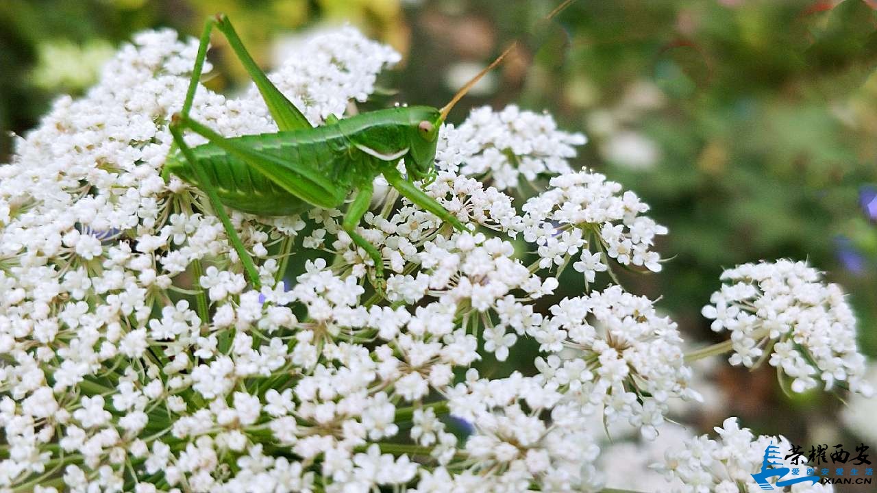 20190615_518588_1560561891891.jpg