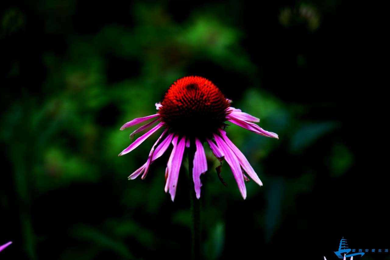20190616_561657_1560656514951.jpg