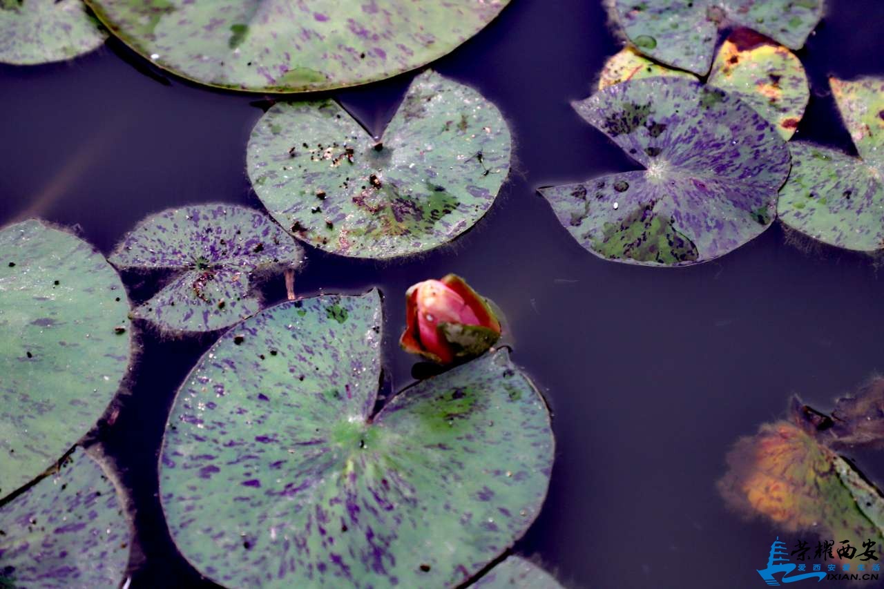 20190616_561657_1560675656371.jpg