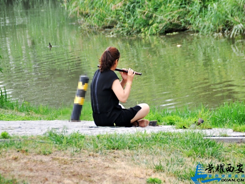 DSC_0033_conew1.jpg