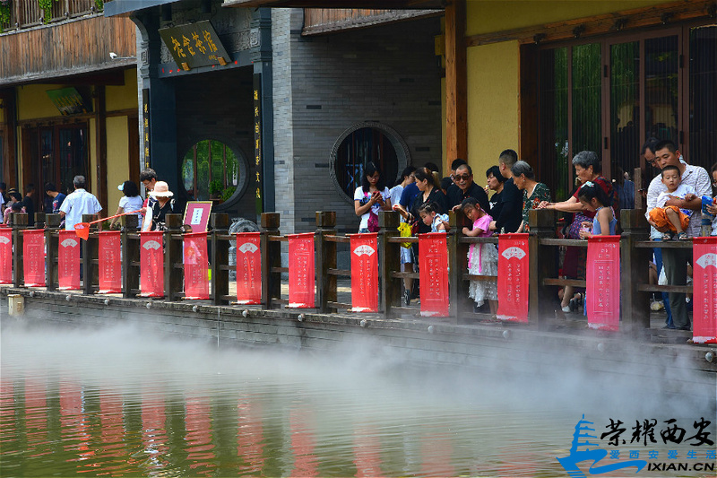 DSC_4999_meitu_36.jpg
