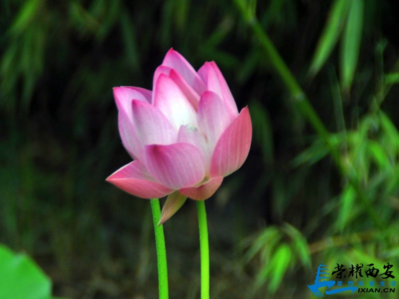 DSC_0007_conew1.jpg