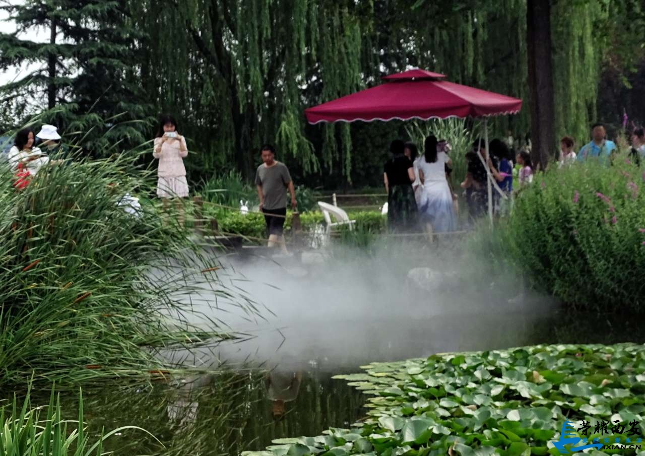 20190623_491197_1561295244608.jpg