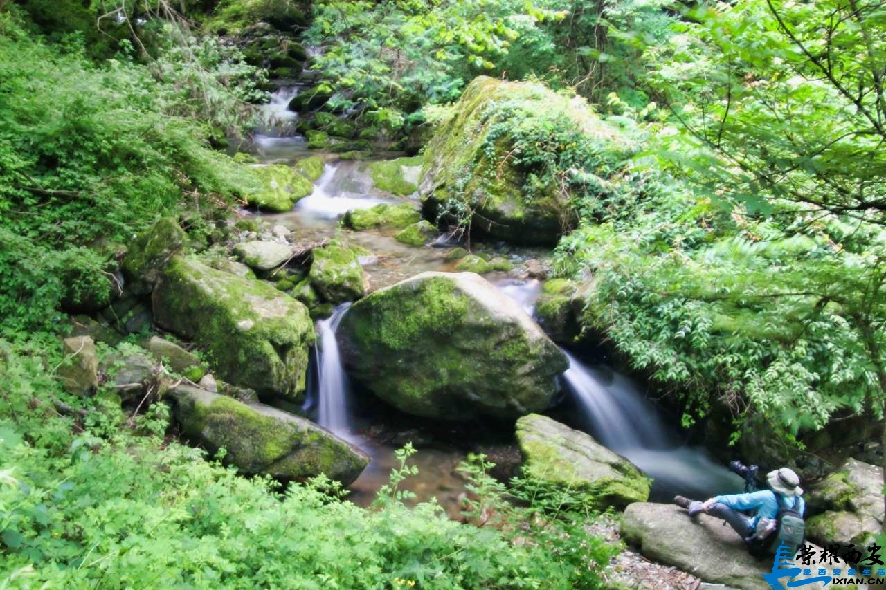 20190626_558791_1561527339839.jpg