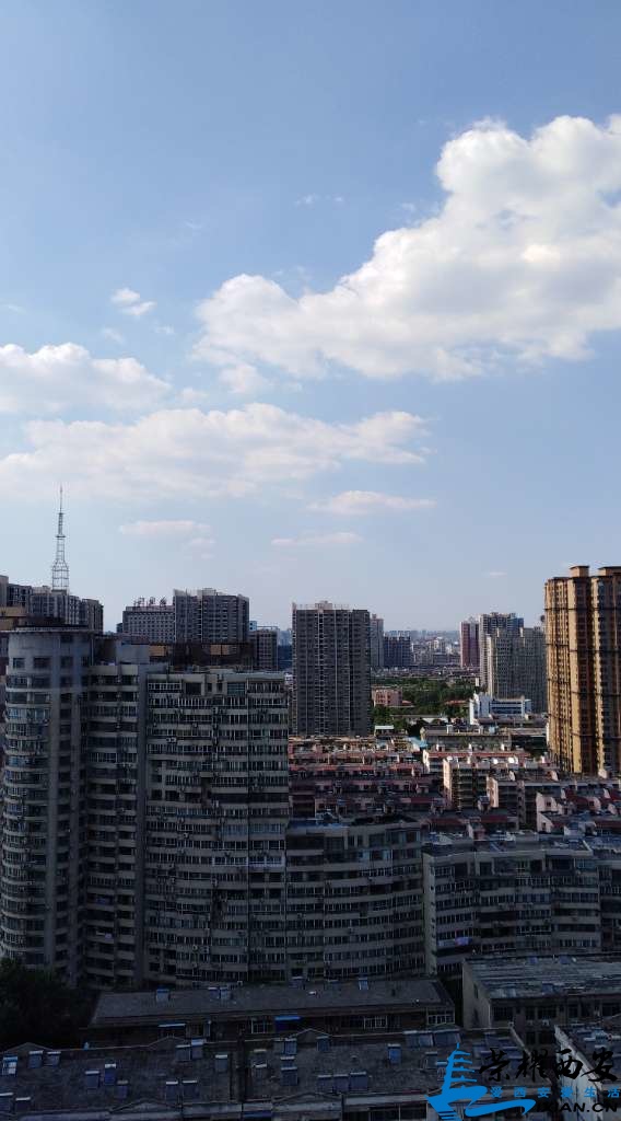 20190704_507169_1562230506069.jpg
