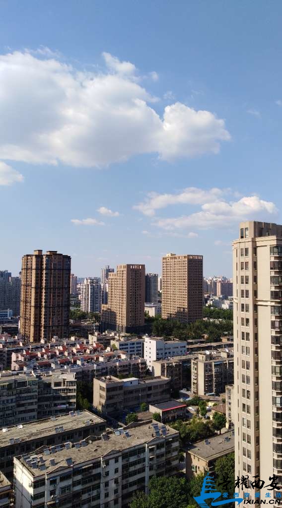 20190704_507169_1562230507632.jpg