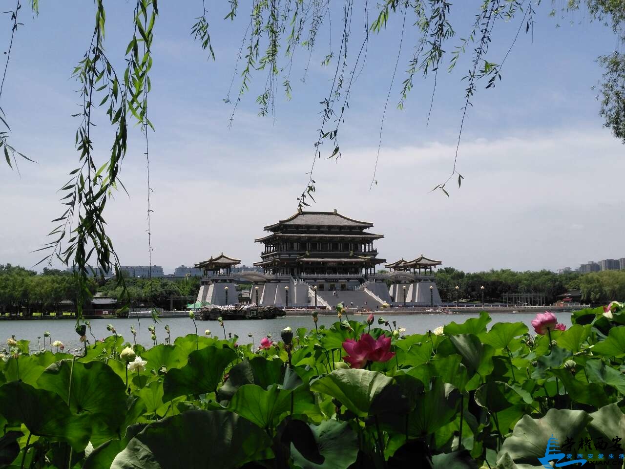 20190706_527139_1562394471567.jpg