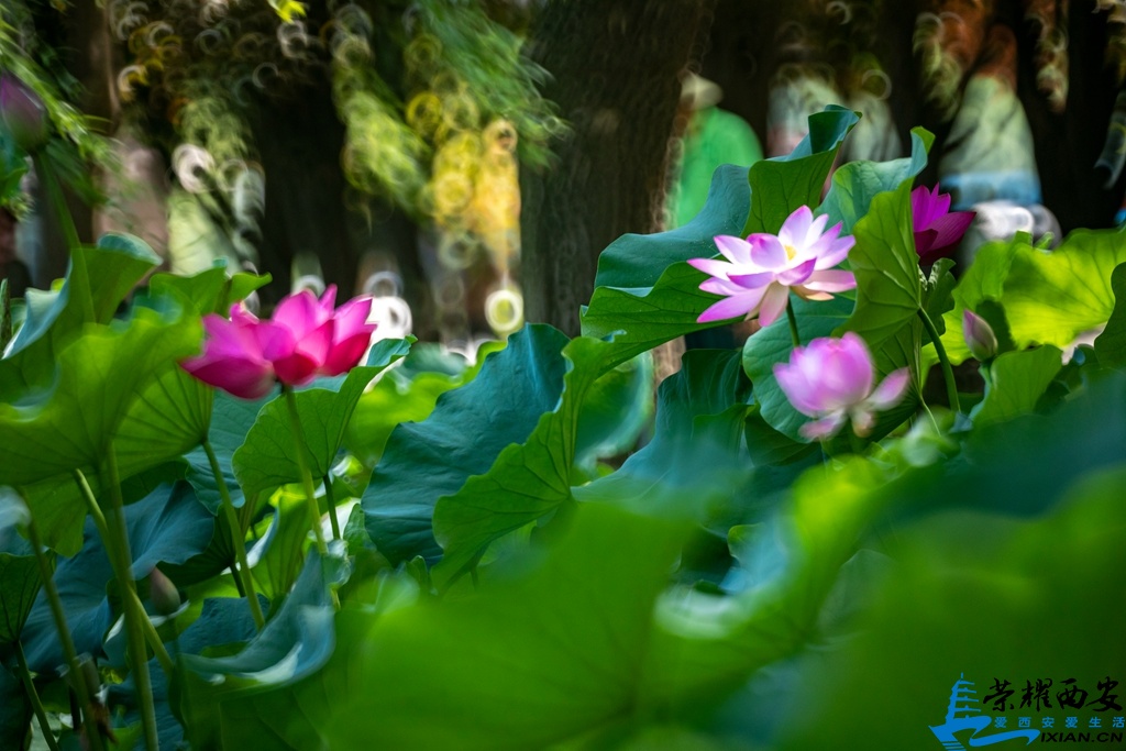 8H3A0569_副本.jpg