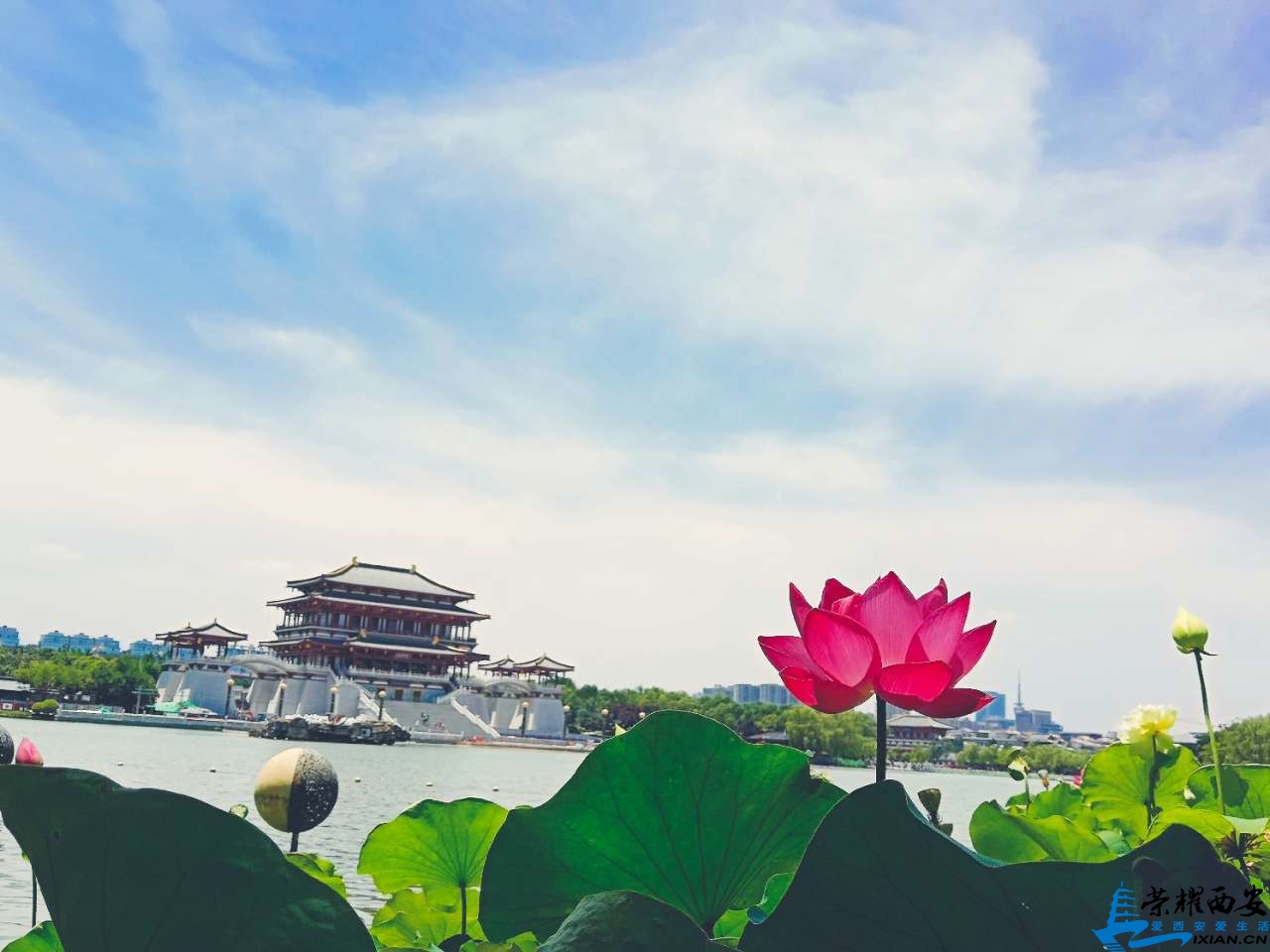 20190709_517244_1562686477022.jpg