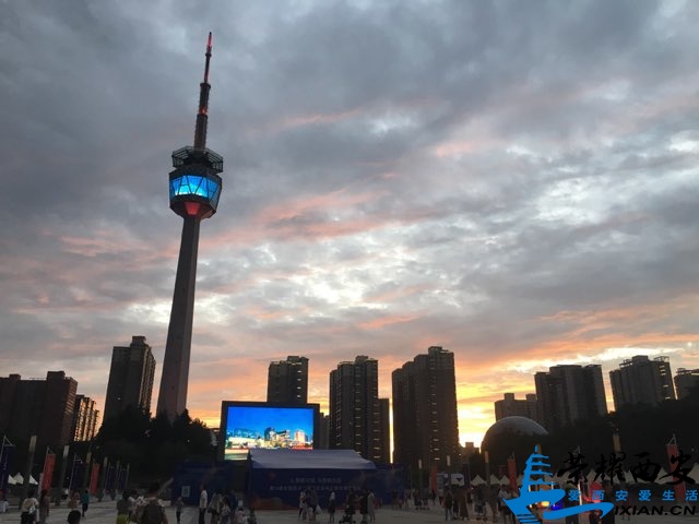 201907305566001564457424217646.jpg