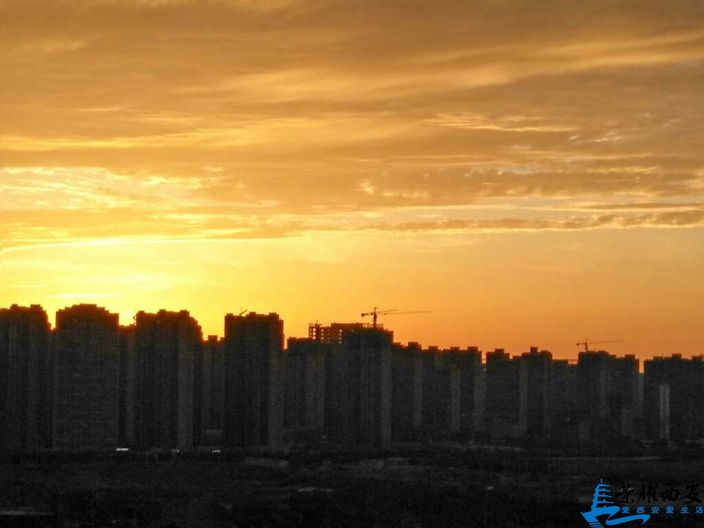 20190802_527139_1564760614739.jpg