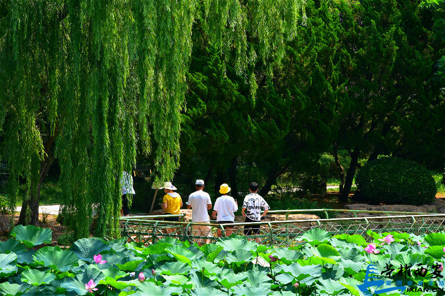 DSC_6247_meitu_7.jpg
