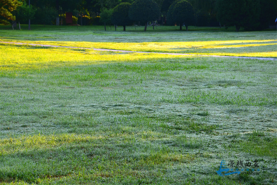 DSC_8765_meitu_62.jpg