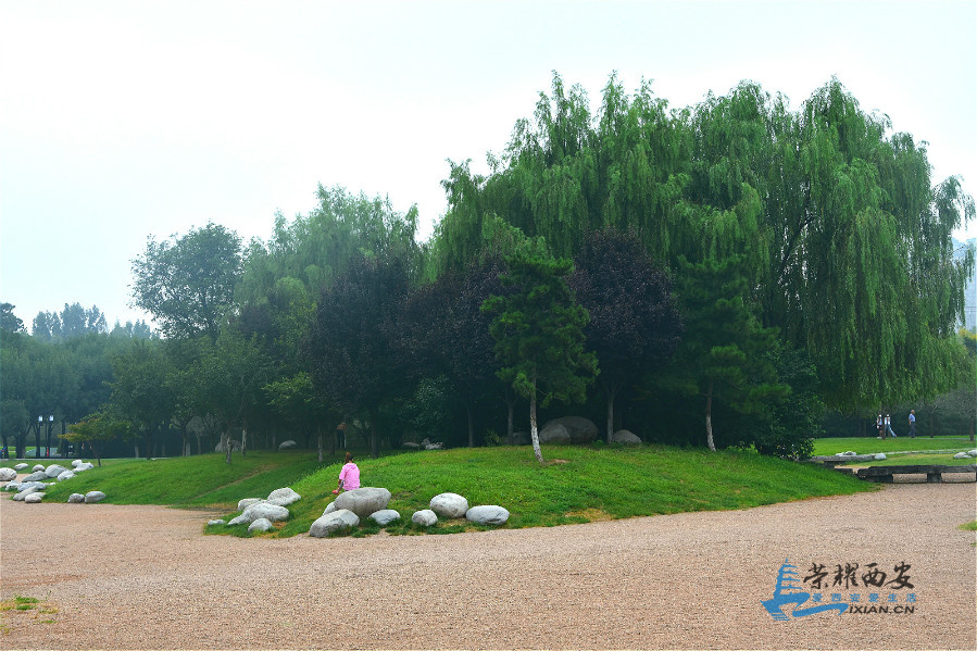 DSC_8354_meitu_8.jpg