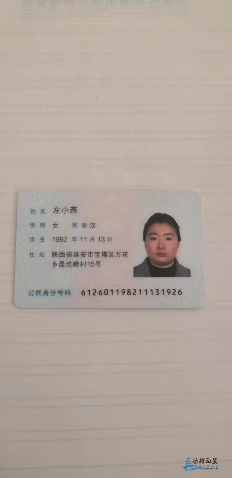 左小燕.jpg