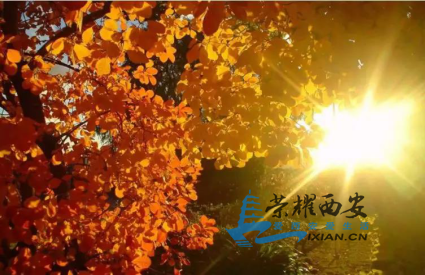 49DD507D-B827-4B9C-8769-363220BBC438.png