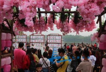 QQ截图20191003173311.jpg