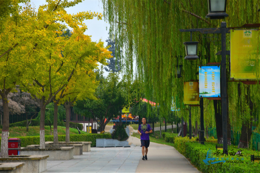 DSC_0448_meitu_31.jpg