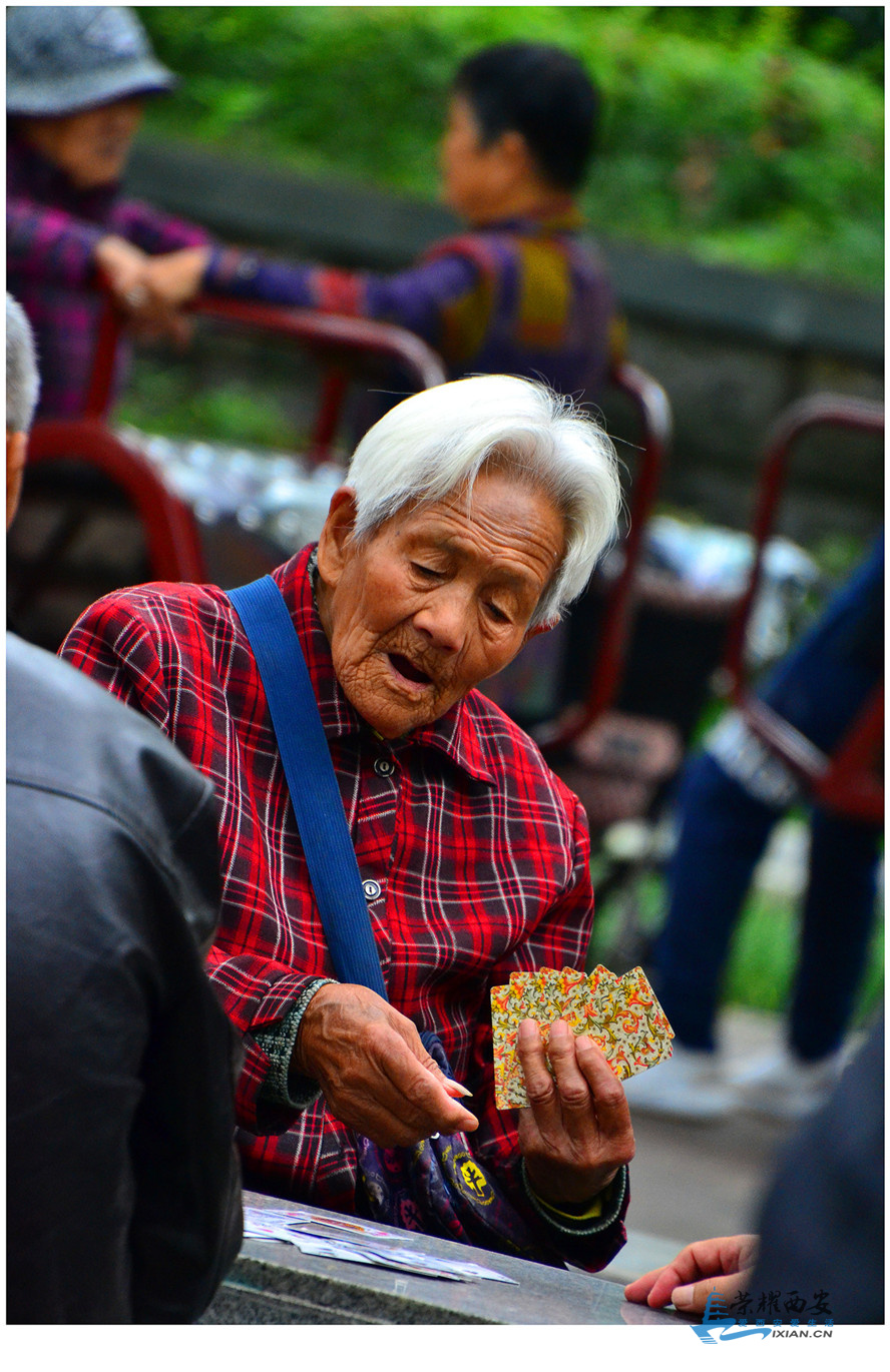 DSC_0255_副本_副本.jpg