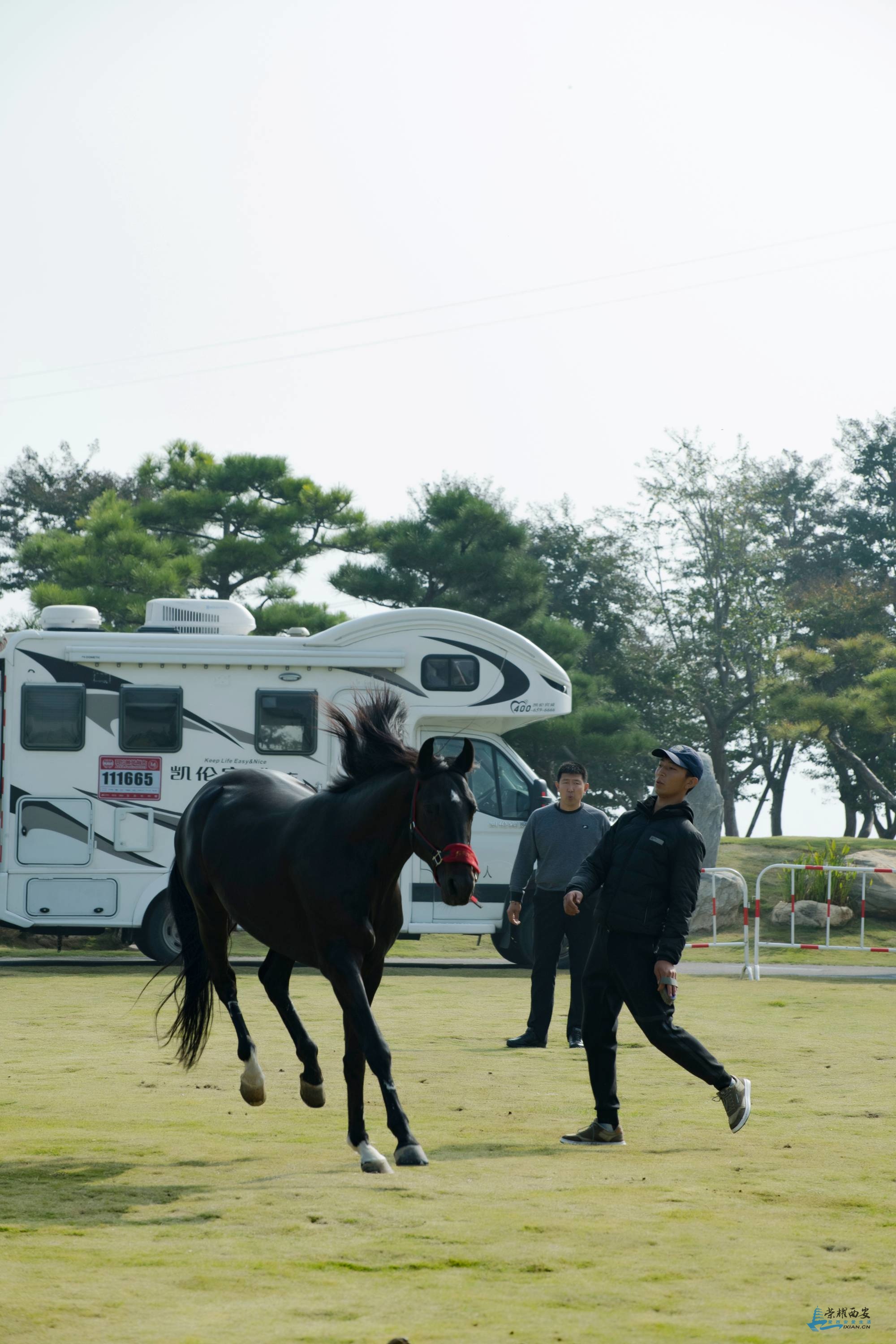 馬-020.jpg