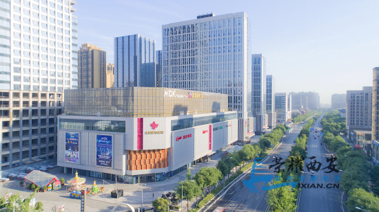 图片5.JPG