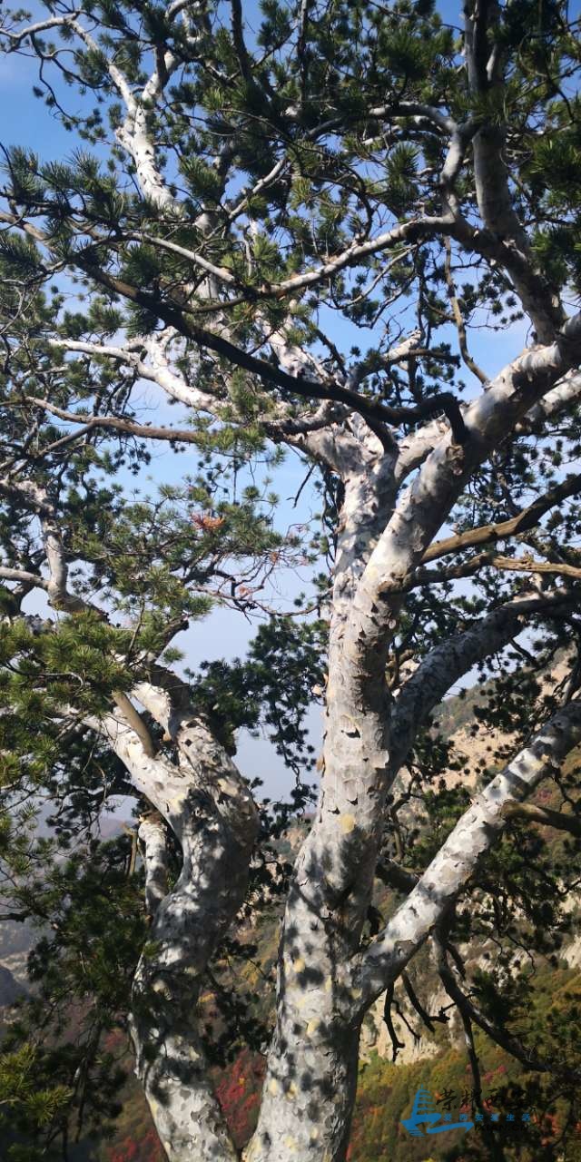20191102_561426_1572707396174.jpg