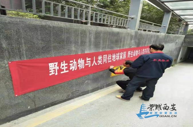 微信截图_20191104154229.jpg