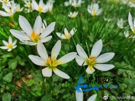 af8e8a399e7f4e58a1ce7dc2b87611cb.jpg