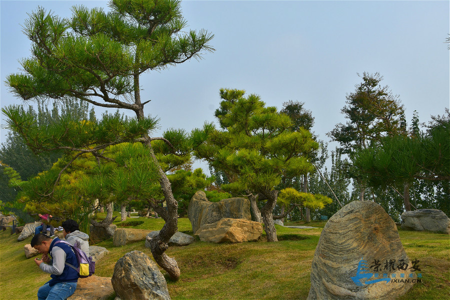 DSC_1960_meitu_6.jpg