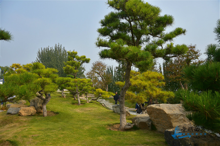 DSC_1969_meitu_7.jpg
