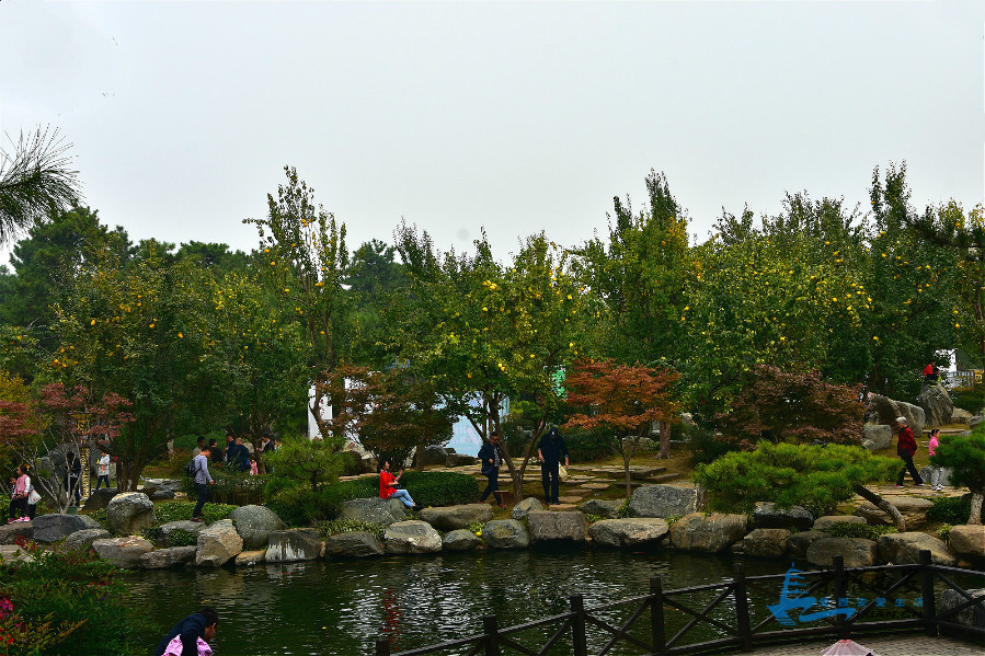 DSC_2225_meitu_36.jpg