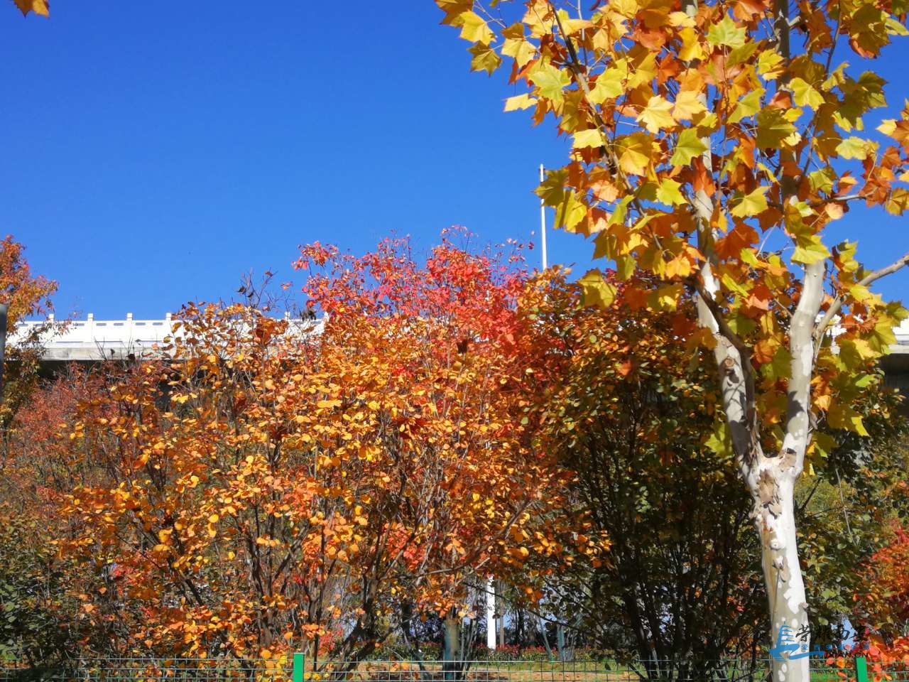 20191111_491197_1573433576365.jpg