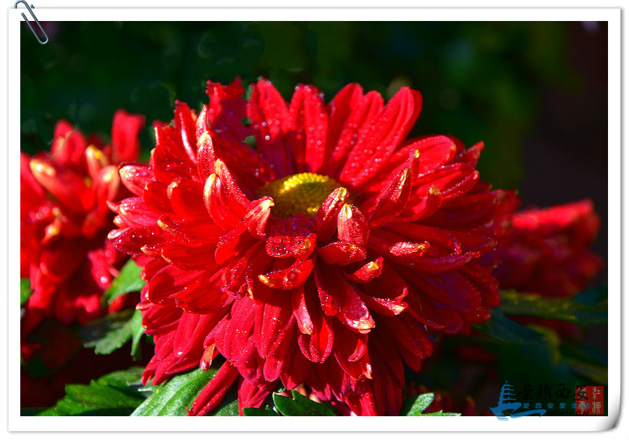 DSC_3510_meitu_11.jpg