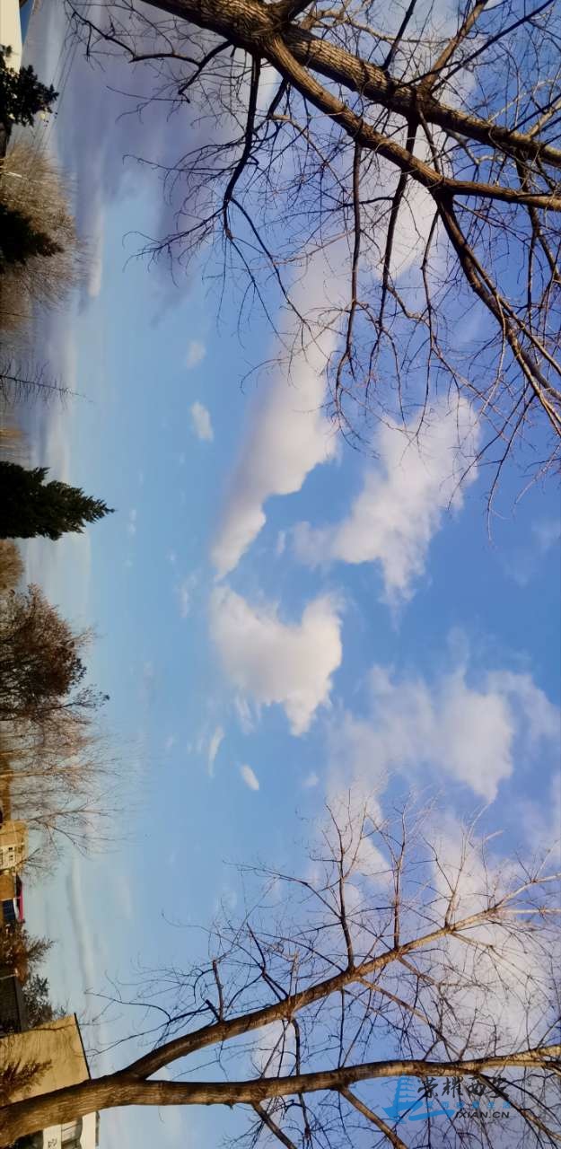 20191125_534979_1574691476790.jpg