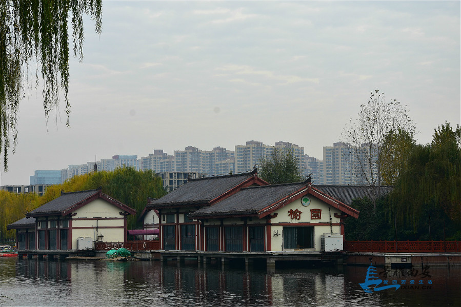 DSC_3905_meitu_15.jpg