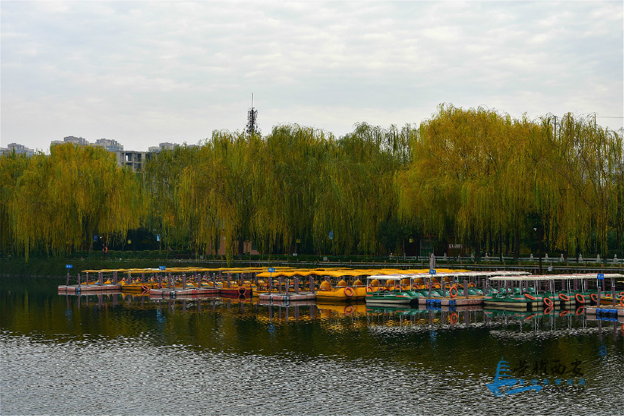 DSC_3903_meitu_13.jpg