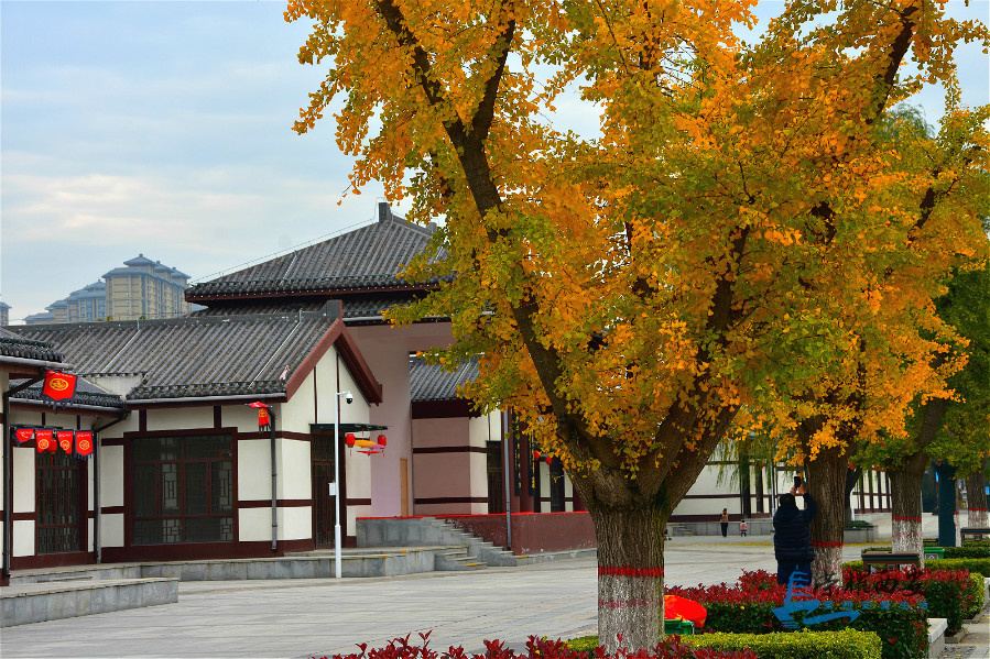 DSC_3973_meitu_67.jpg