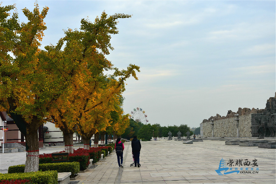 DSC_3969_meitu_63.jpg