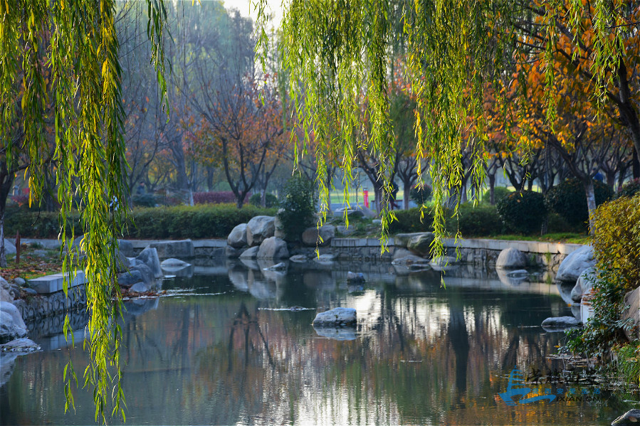 DSC_4002_meitu_3.jpg