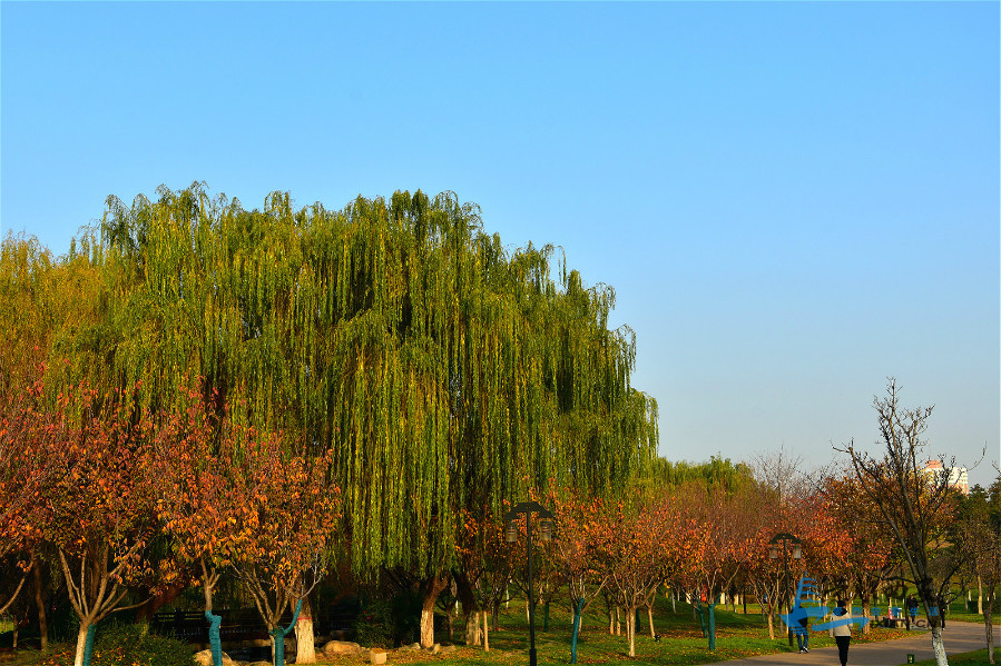 DSC_4020_meitu_16.jpg