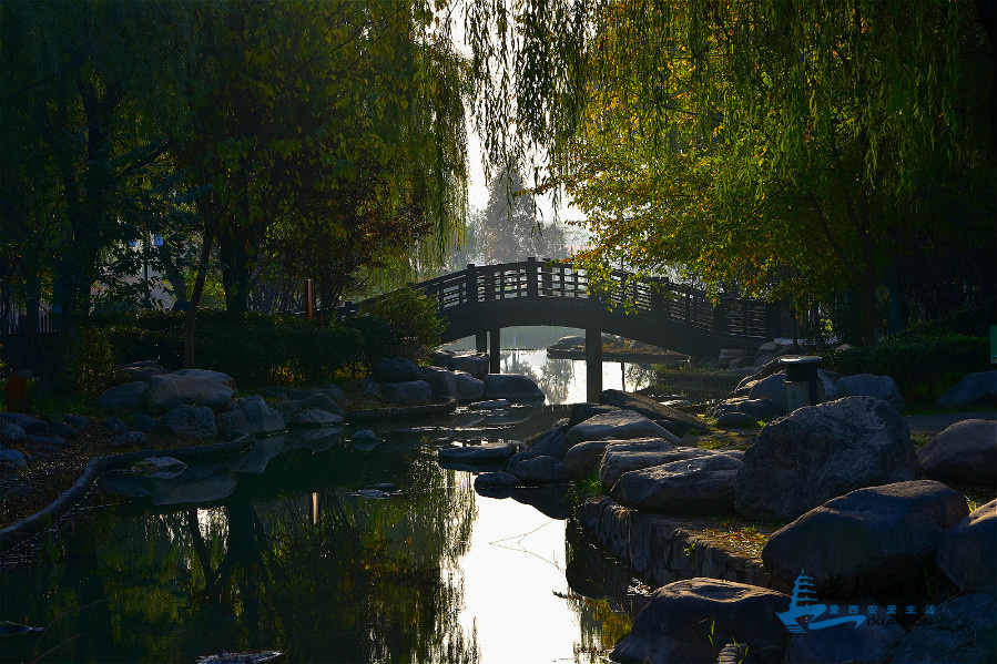 DSC_4022_meitu_17.jpg