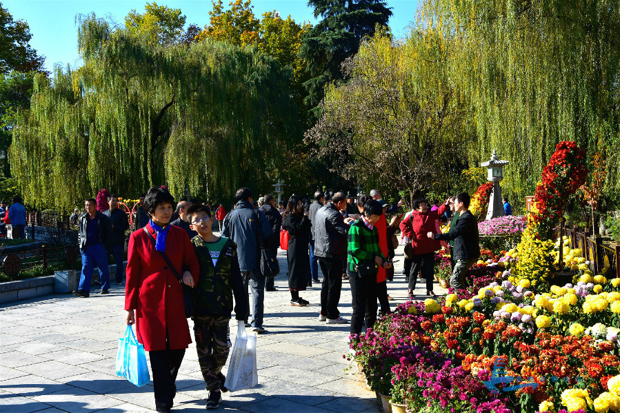 DSC_3713_meitu_50.jpg