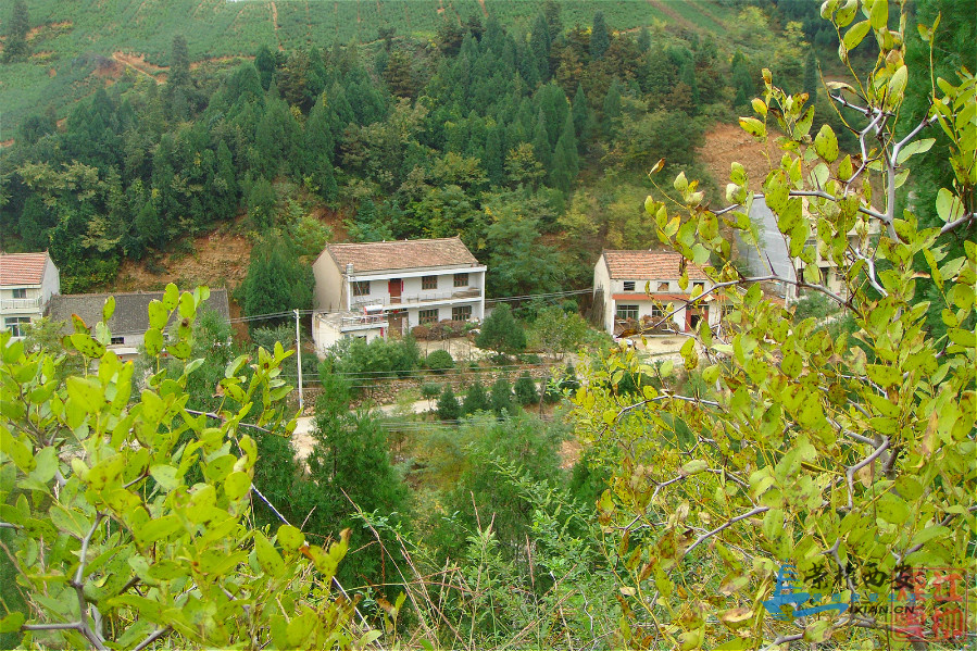 DSC03782_meitu_30.jpg
