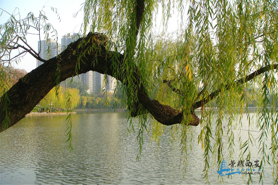 DSC04016_meitu_151.jpg