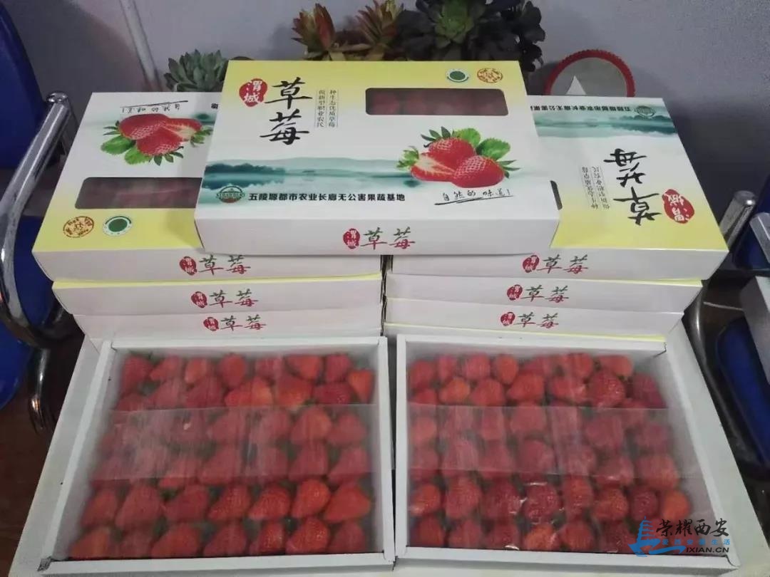 微信图片_20191213111952.jpg