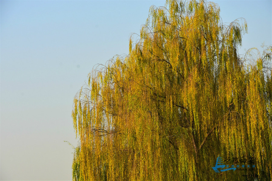DSC_4827_meitu_41.jpg