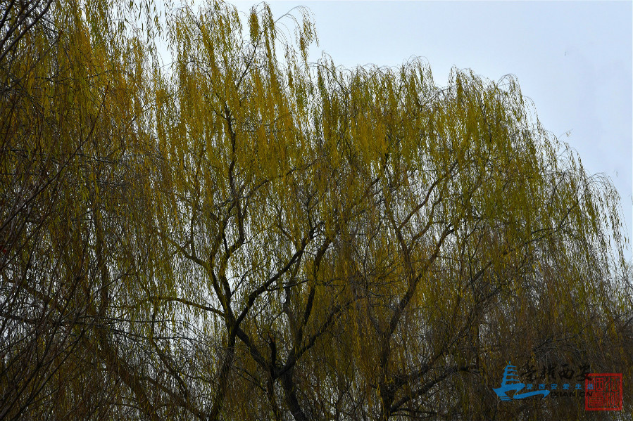 DSC_5082_meitu_27.jpg