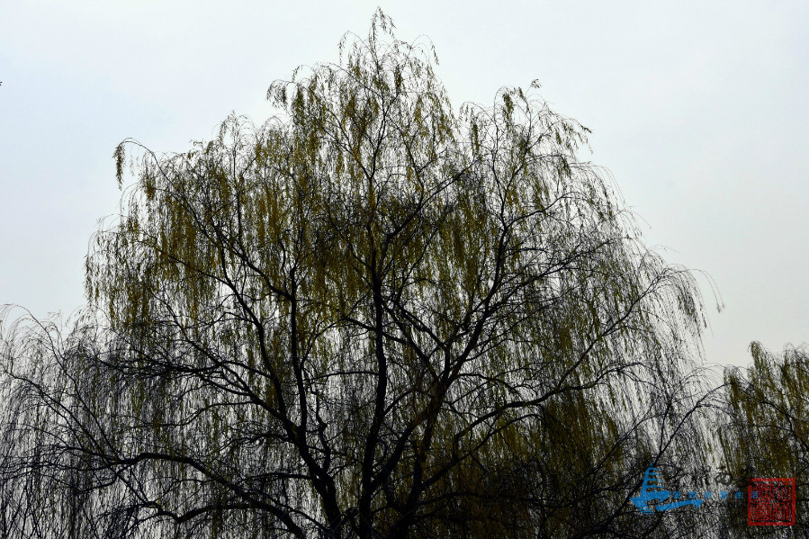 DSC_5320_meitu_34.jpg